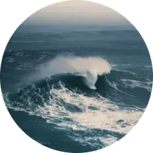 Resiliencia